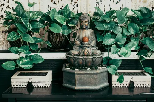 Feng Shui lernen – Grundlagen, Regeln und praktische Schritte für den Einstieg in Feng Shui