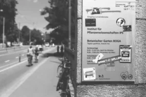 Individueller Sanierungsfahrplan Fällt Weg? Was Eigentümer über Förderungen und mögliche Änderungen wissen sollten