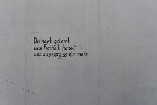 Was Macht Das Gesundheitsamt Bei Schimmel In Der Wohnung? Welche Aufgaben Behörden bei möglichen Gesundheitsgefahren durch Schimmel übernehmen
