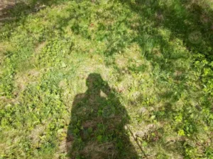Wie groß sind 300 Quadratmeter? Fläche anschaulich vergleichen und typische Abmessungen berechnen