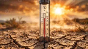 Wie kalt ist das Gemüsefach im Kühlschrank? Typische Temperaturen im Gemüsefach und die richtige Lagerung von Lebensmitteln