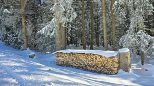 Wie Viel Brennholz Brauche Ich? Holzbedarf Für Einen Winter Realistisch Berechnen